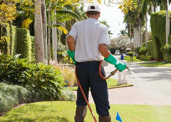 About Long Valley SD Pest Control